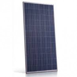 Tấm pin năng lượng mặt trời Jinko